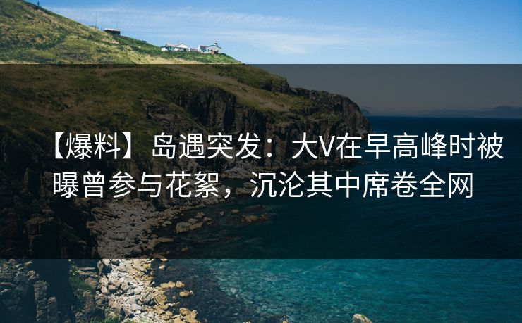 【爆料】岛遇突发：大V在早高峰时被曝曾参与花絮，沉沦其中席卷全网